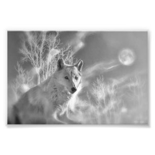 FOTO BOSQUE BLANCO DE LA MUJER BLANCA