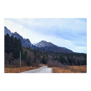 Foto Bosque Camino Paisaje Escénico Naturaleza Salvaje
