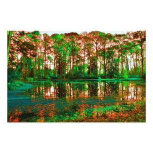 Foto Bosque de fantasía por Shirley Taylor