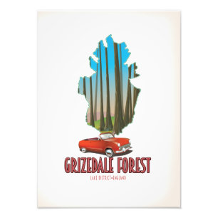Foto bosque de grizdale distrito de los lagos inglaterr