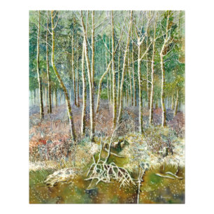 Foto bosque de invierno