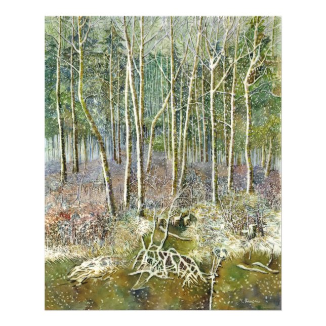 Foto bosque de invierno (Frente)