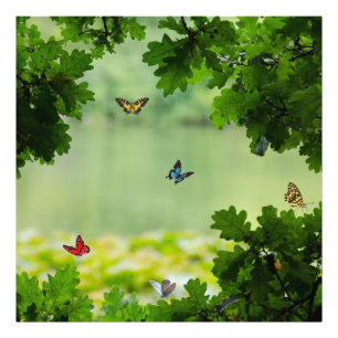 Foto Bosque de Mariposas Encantado