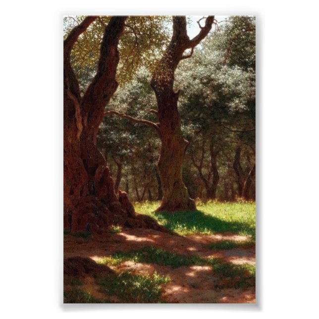 Foto Bosque de olivos en Cap Saint Martin (Frente)