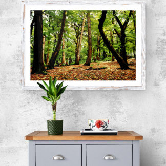 Foto Bosque de otoño