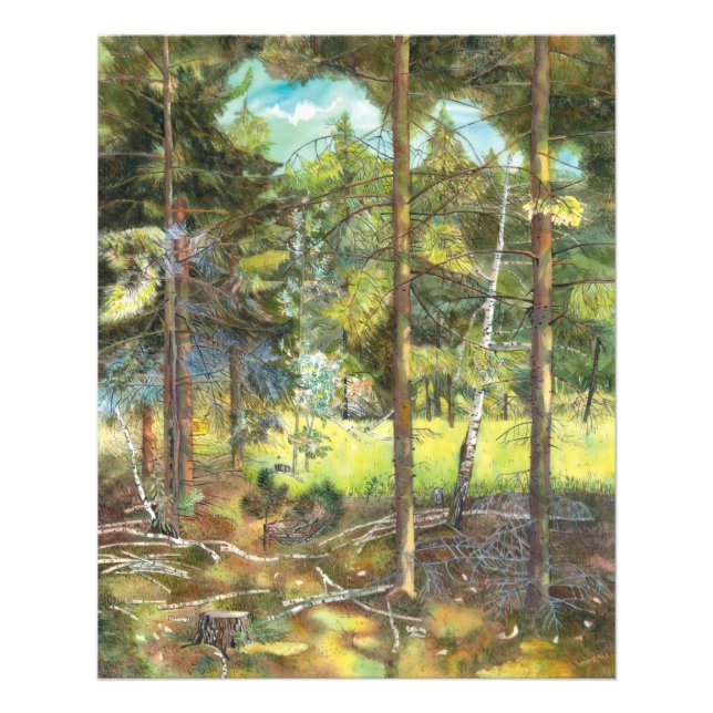 Foto Bosque de pinos (Frente)