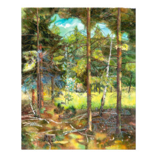 Foto Bosque de pinos