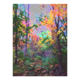 Foto Bosque encantado