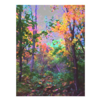 Foto Bosque encantado