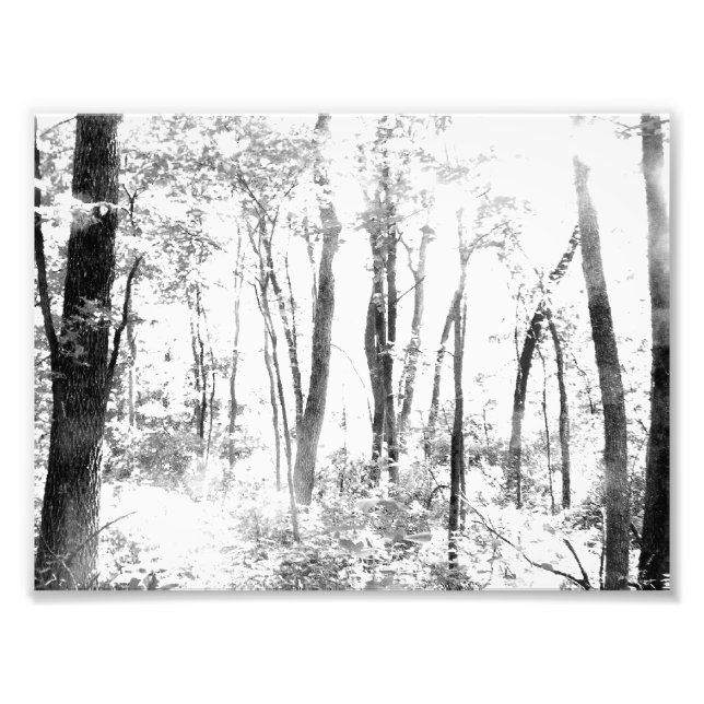 Foto Bosque Ghostly (Frente)