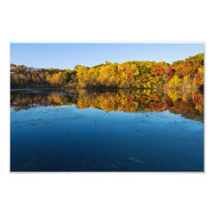 Foto bosques del parque marthaler y reflexiones del oto