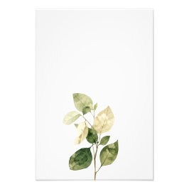 Foto Botanical Leaf Watercolor Art Print-Ficus
