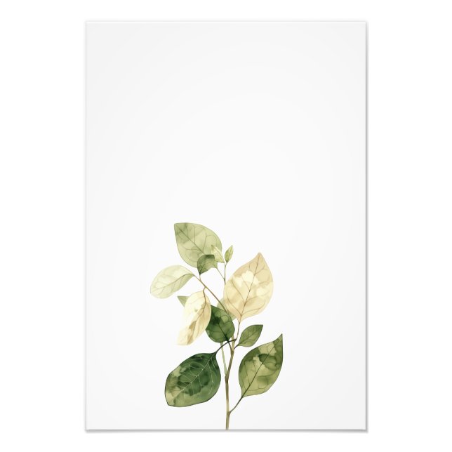 Foto Botanical Leaf Watercolor Art Print-Ficus (Frente)