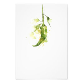Foto Botanical Red Pepper Watercolor Art Print-Stage2 