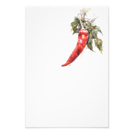 Foto Botanical Red Pepper Watercolor Art Print-Stage3 