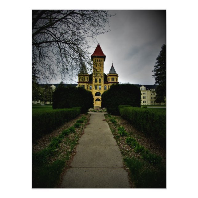 Foto "Bounty urbano" (Frente)