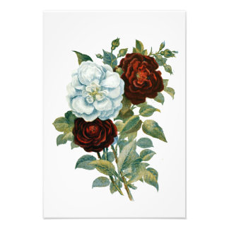 Foto Bouquet floral y elegante