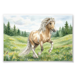 Foto Brana Pinto Palomino Icelandic Watercolor