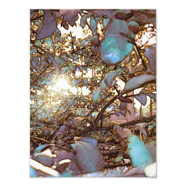 Foto Breve luz a través (Frente)