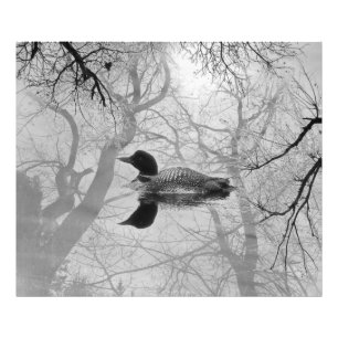 Foto Bribón blanco y negro en una impresión del lago