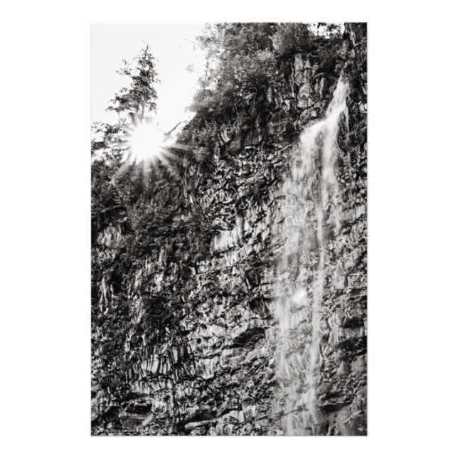 Foto Brilla (Frente)