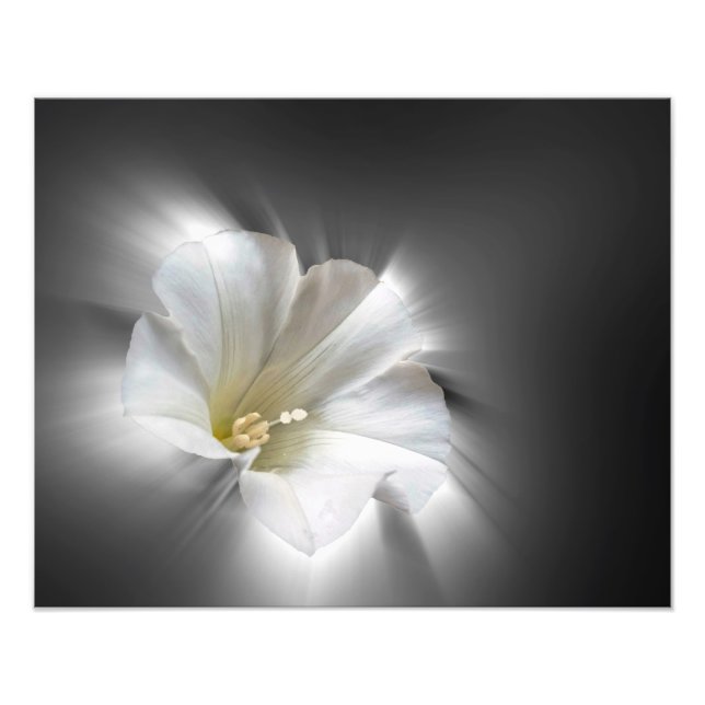 Foto Brillando en la oscuridad (Frente)