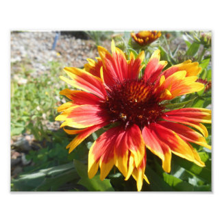 Foto Brillo en llamas