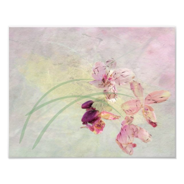 Foto Brisa de verano (Frente)