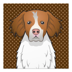 Foto Brittany Dog Personalizado Paws