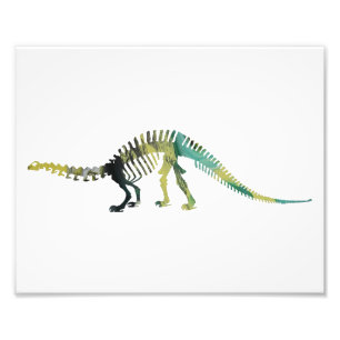Foto brontosaurus skeleton