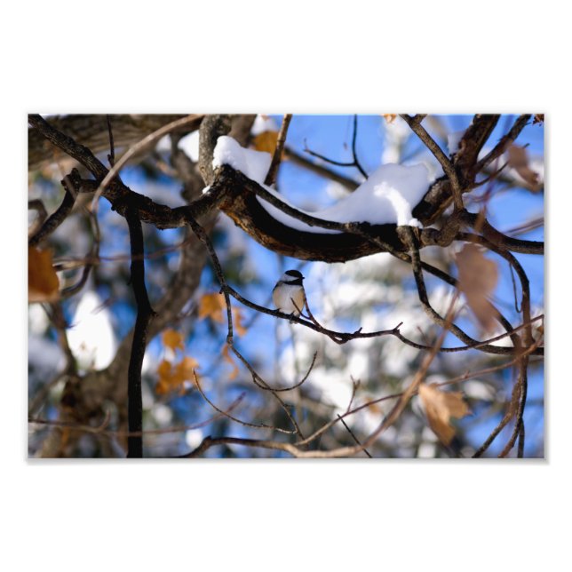 Foto brote en twee (Frente)