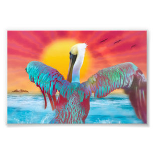 Foto Brown Pelican ISLAND SUNSET
