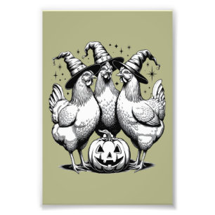 Foto Brujas de Pollo Divertidas Halloween Antigua Bruja