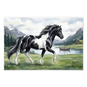 Foto Brunskjottur Pinto negro islandés
