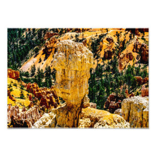 Foto Bryce Canyon Robot Man