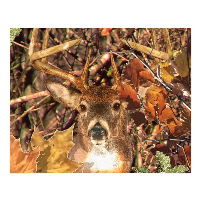 Foto Buck in Camouflage White Tail Deer (Frente)