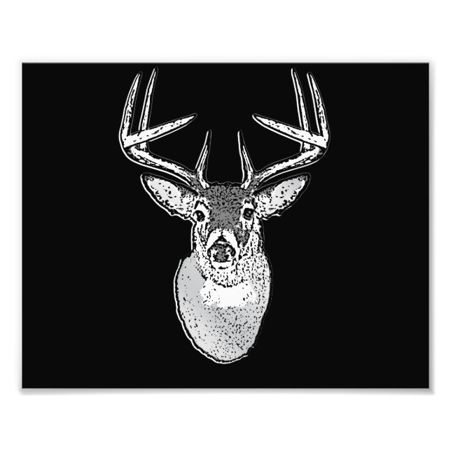 Foto Buck on Black design White Tail Deer (Frente)