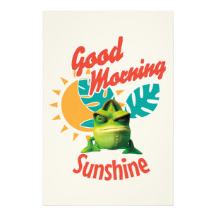 Foto Buenos Días Sol Chameleón Divertido