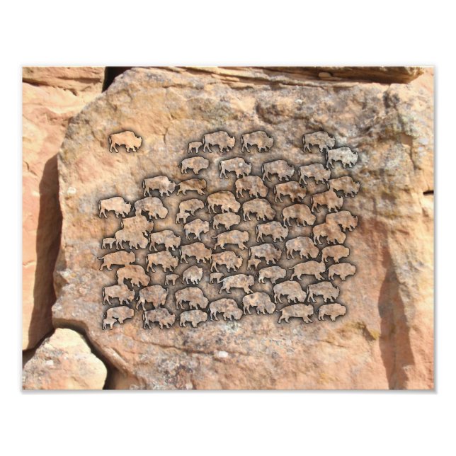 Foto Búfalo (Frente)