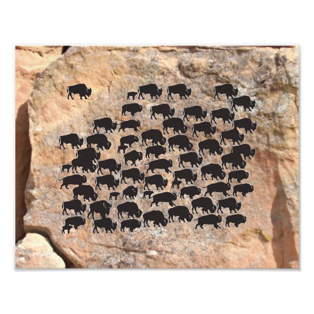 Foto Búfalo (Frente)