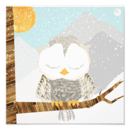 Foto Búho de Nieve Durmiendo en un Árbol