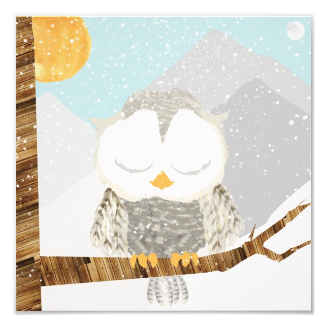 Foto Búho de Nieve Durmiendo en un Árbol (Frente)