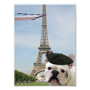 Foto Bulldog francés en París