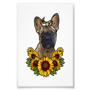 Foto bulldog francés lindo regalo de regalo decoración