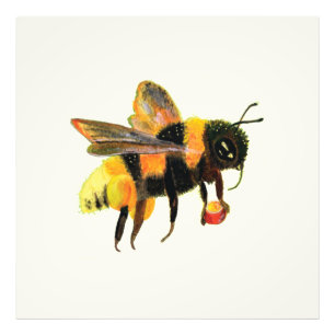 Foto Bumble Bee cargando polen