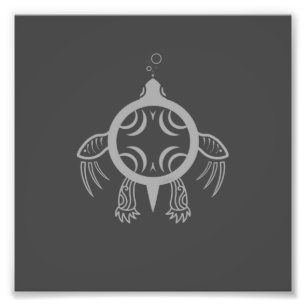 Foto Burbujas de tortugas marinas