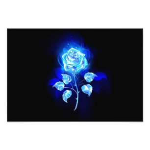 Foto Burning Blue Rose