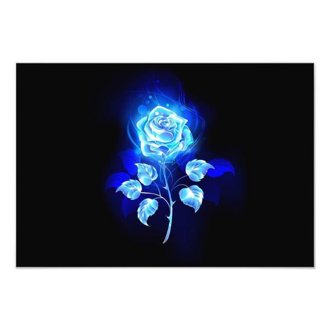 Foto Burning Blue Rose (Frente)