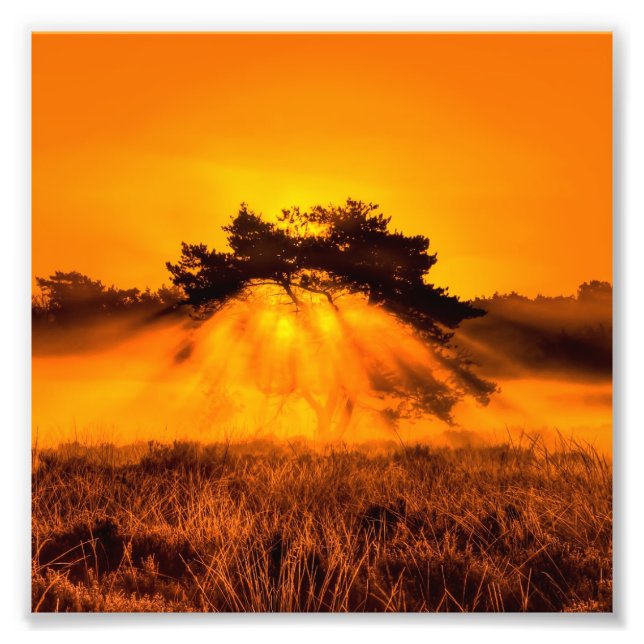 Foto Burning Bush (Frente)