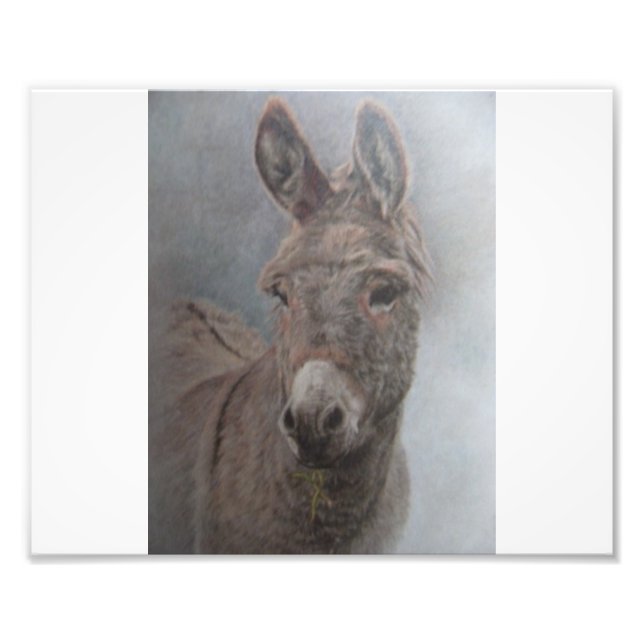 Foto Burro (Frente)